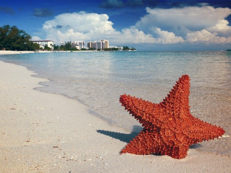 Partir aux Bahamas, comment faire pour un voyage pas cher et agréable ?