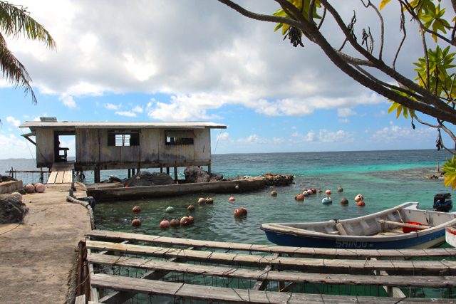 Polynésie française les meilleures activités à Manihi